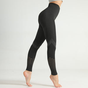 Celynia Sculpt Seamless Knit Pants