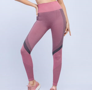 Celynia Sculpt Seamless Knit Pants