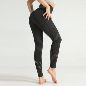 Celynia Sculpt Seamless Knit Pants