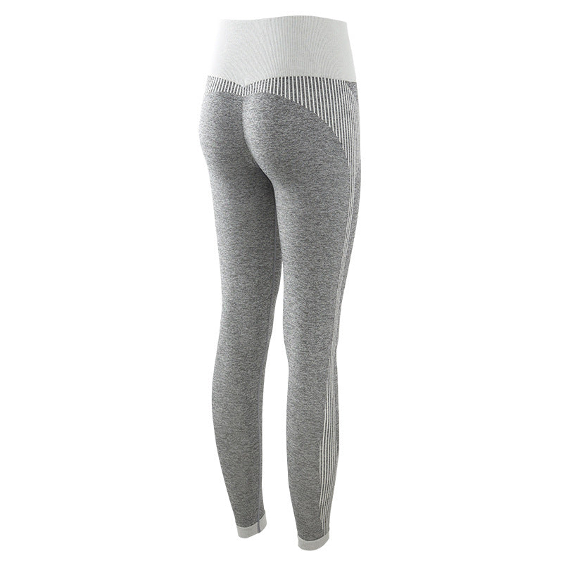 Celynia Sculpt Seamless Pants