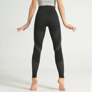 Celynia Sculpt Seamless Knit Pants