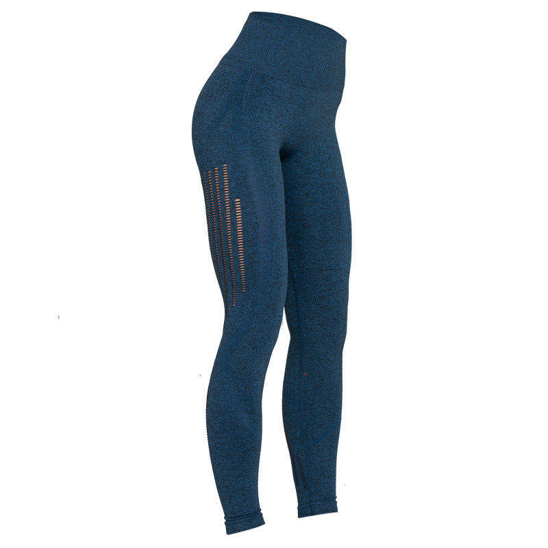 Celynia Sculpt Pants Knit