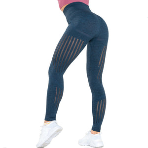 Celynia Sculpt Pants Knit