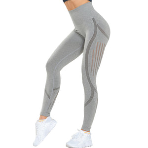 Celynia Sculpt Pants Knit